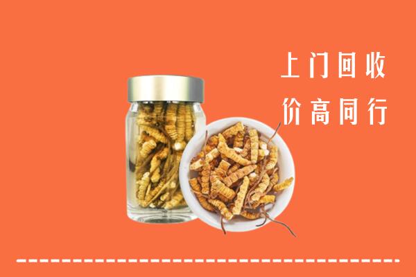 自贡富顺回收冬虫夏草