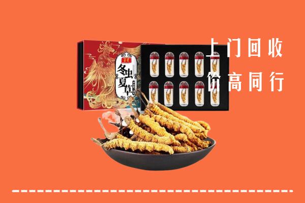 收购行情：自贡富顺回收虫草